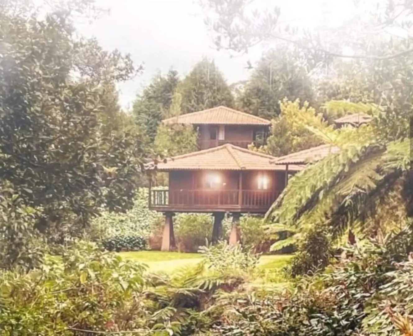 Nature Cabins - Santo Da Serra Santo Antonio da Serra
