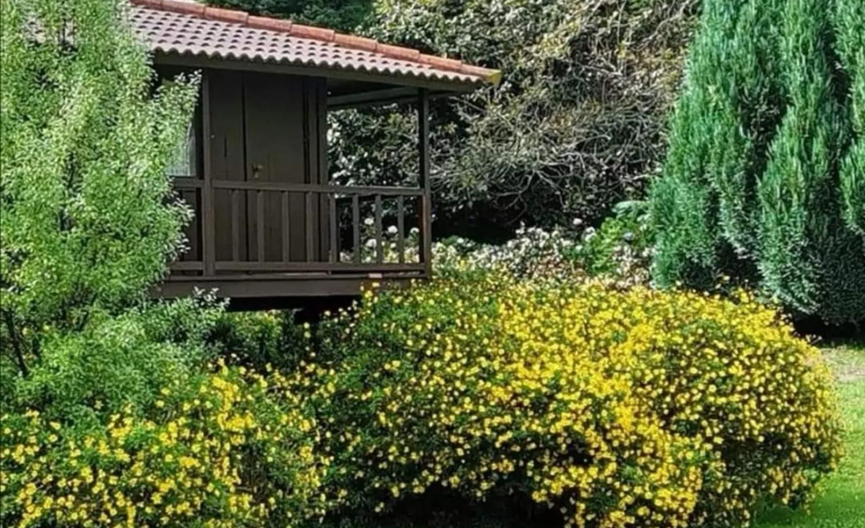 Nature Cabins - Santo Da Serra Santo Antonio da Serra 葡萄牙