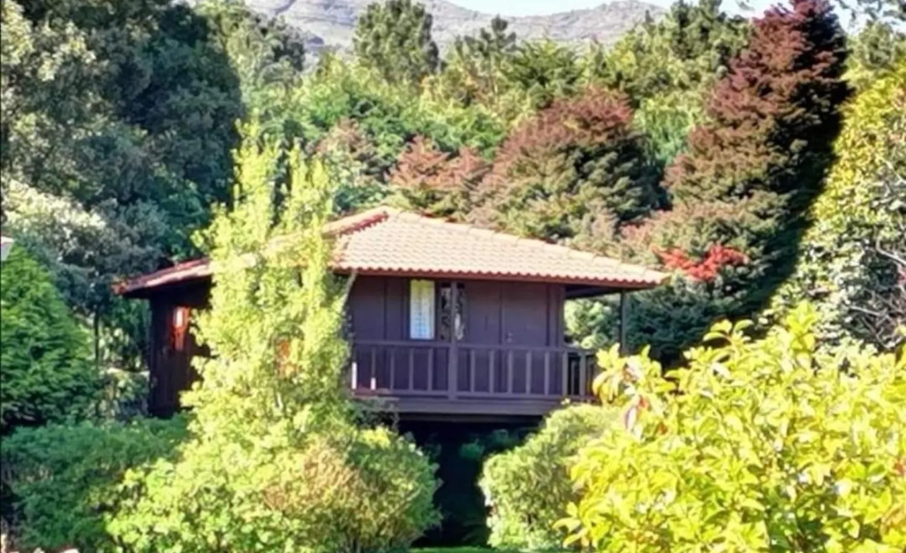 Nature Cabins - Santo Da Serra Santo Antonio da Serra 营地