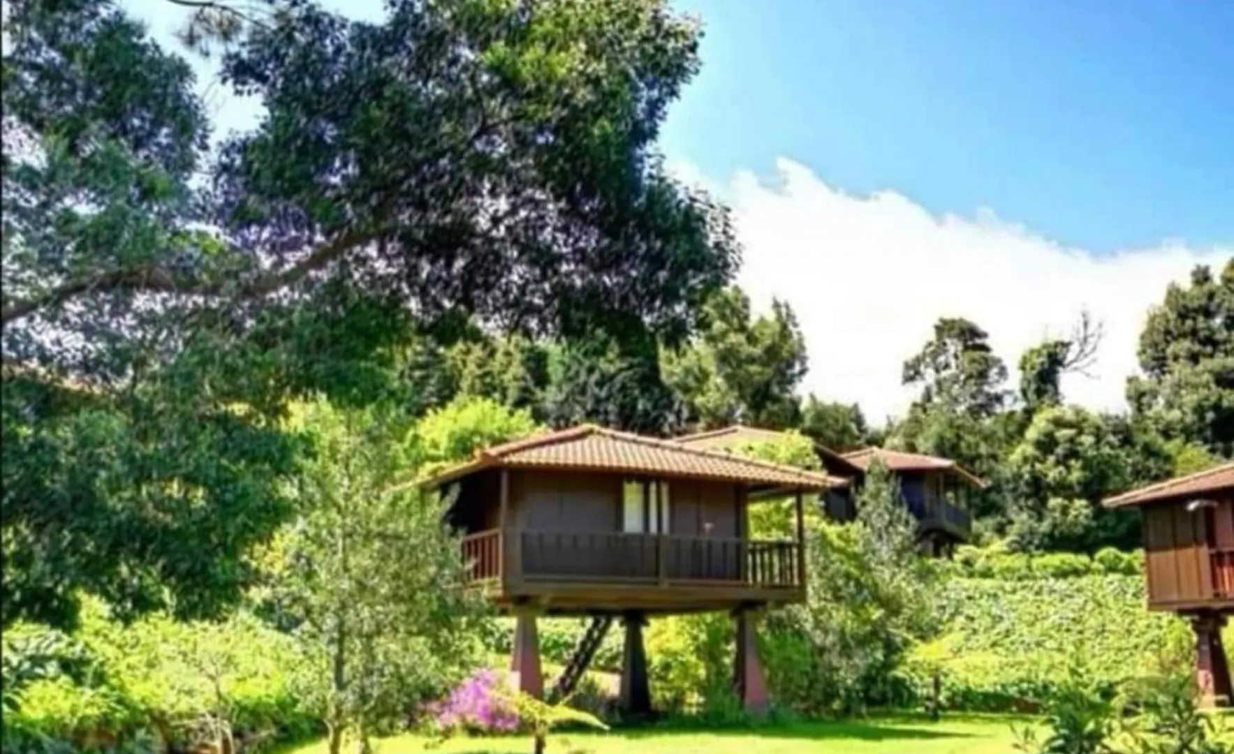 营地 Nature Cabins - Santo Da Serra Santo Antonio da Serra 葡萄牙