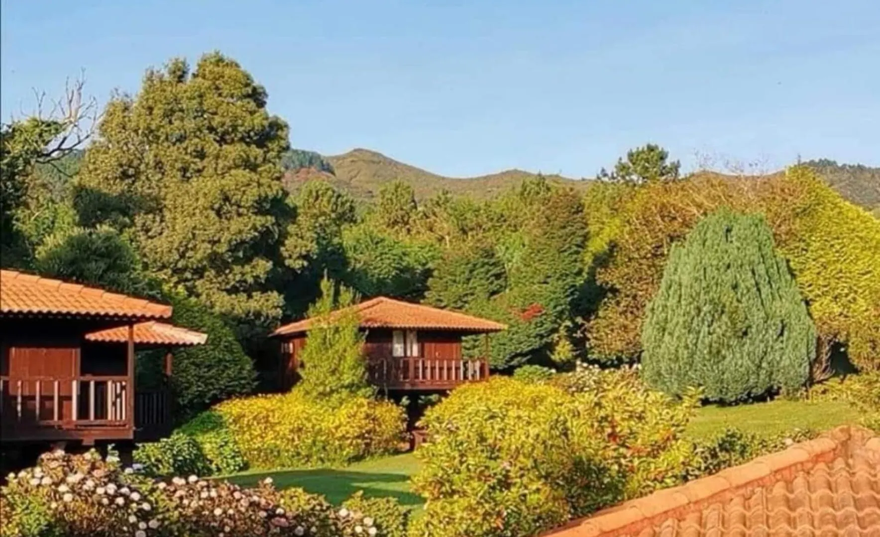 营地 Nature Cabins - Santo Da Serra Santo Antonio da Serra