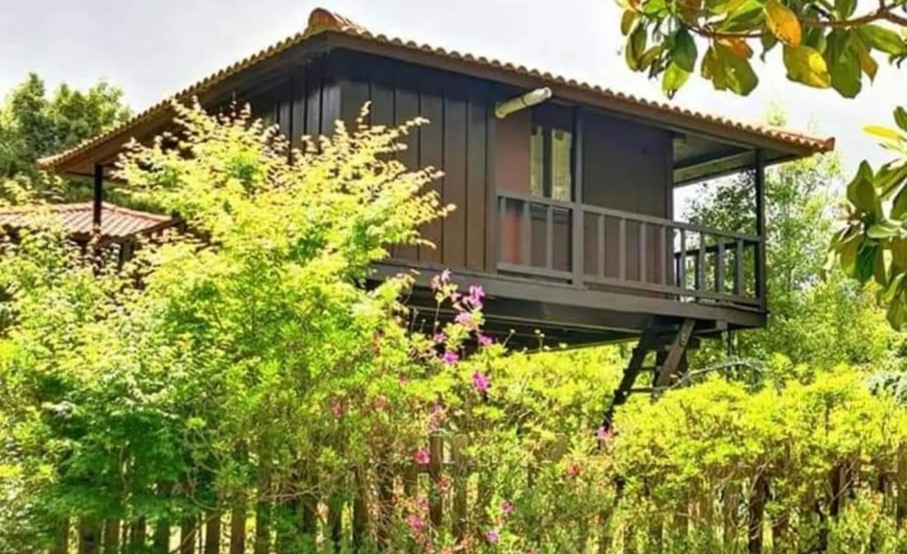 营地 Nature Cabins - Santo Da Serra Santo Antonio da Serra