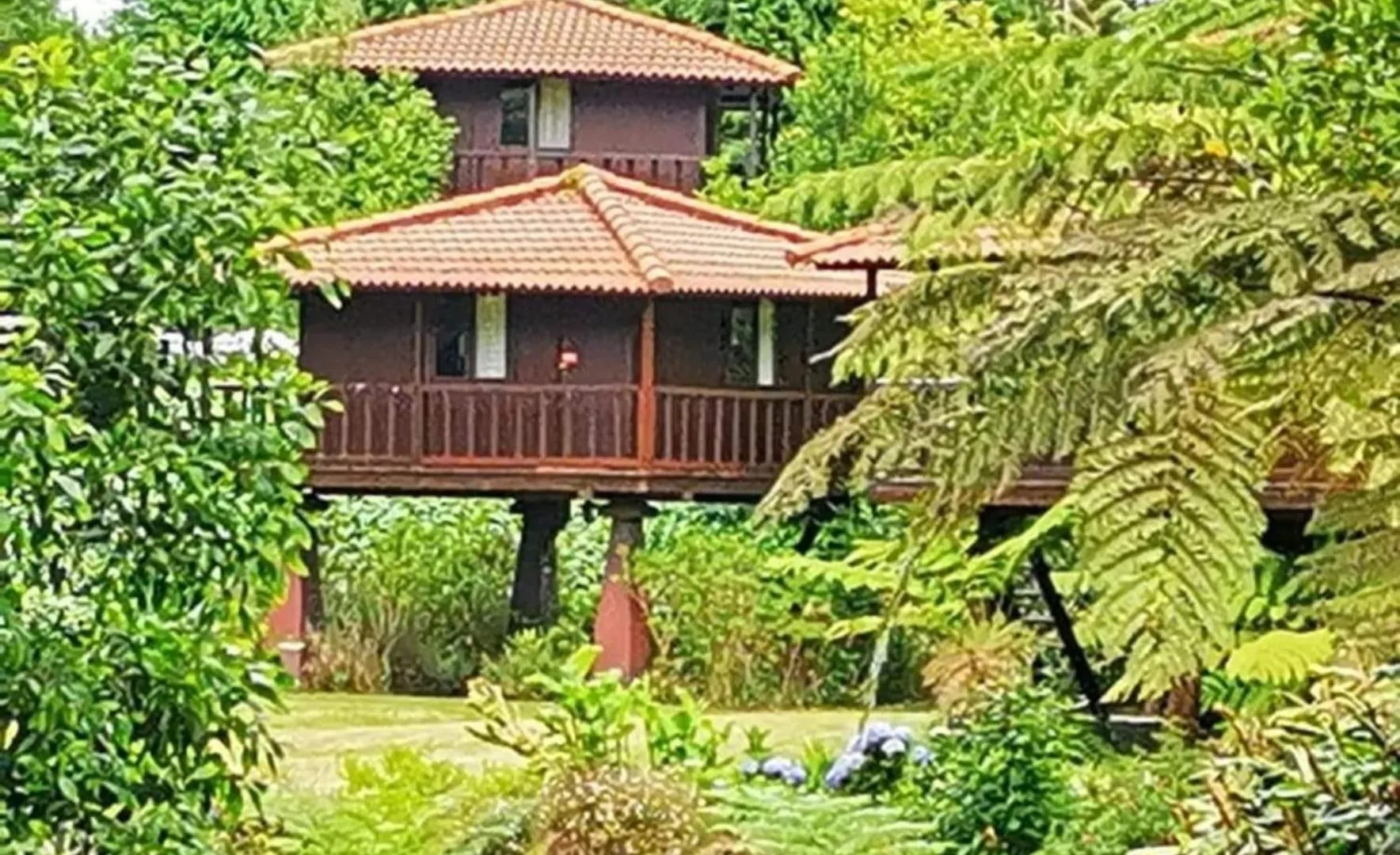 Nature Cabins - Santo Da Serra Santo Antonio da Serra 营地